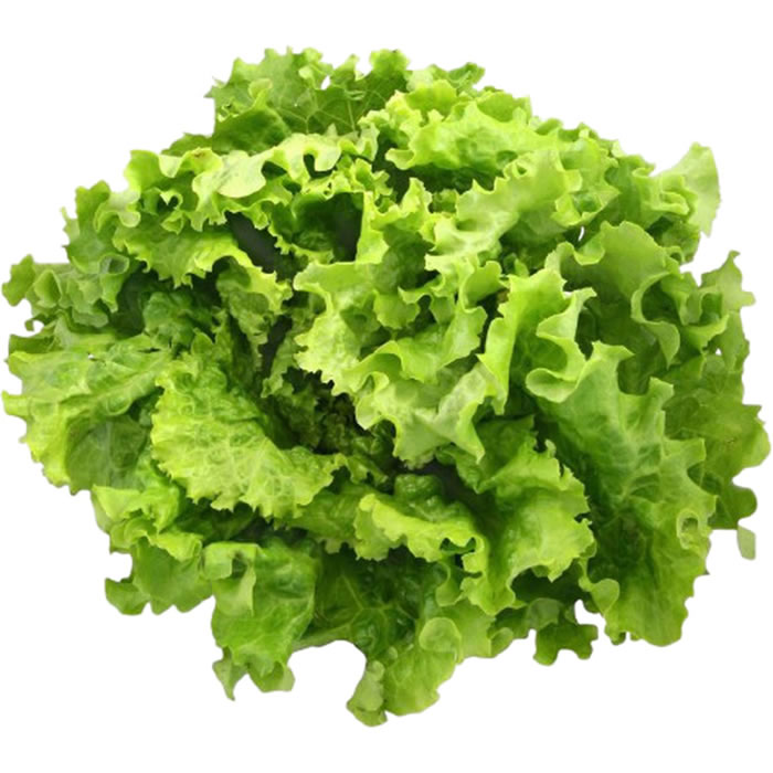 Salade batavia