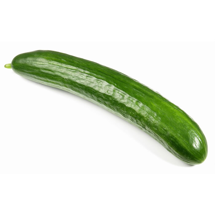 Concombre bio