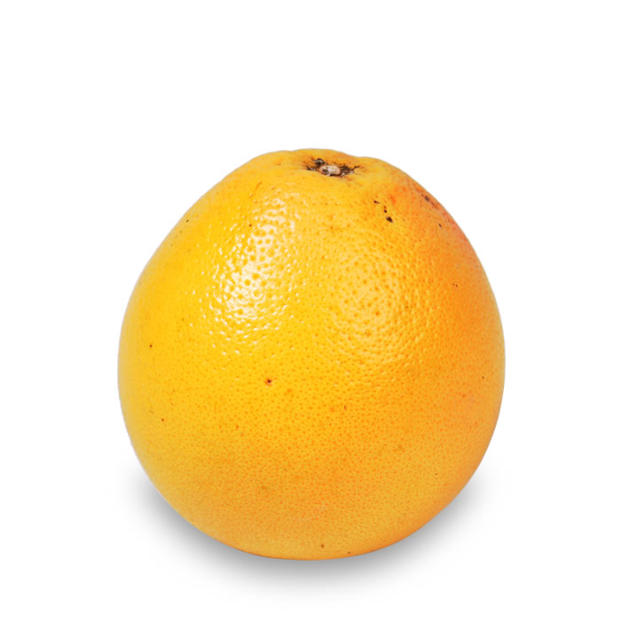 Pomelo – POMELOS