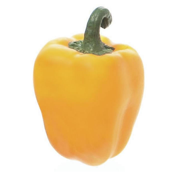 Poivron jaune