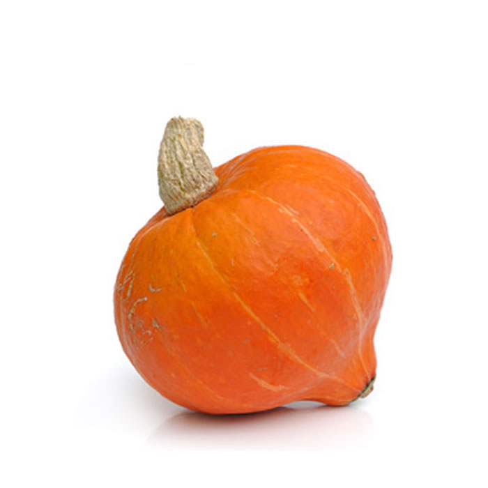 Potimarron bio – 1 pièce