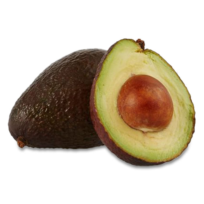 AVOCAT – Avocat 1 pièce