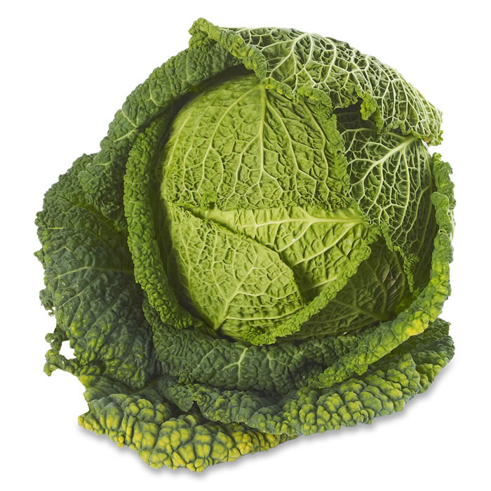 Chou vert frisé