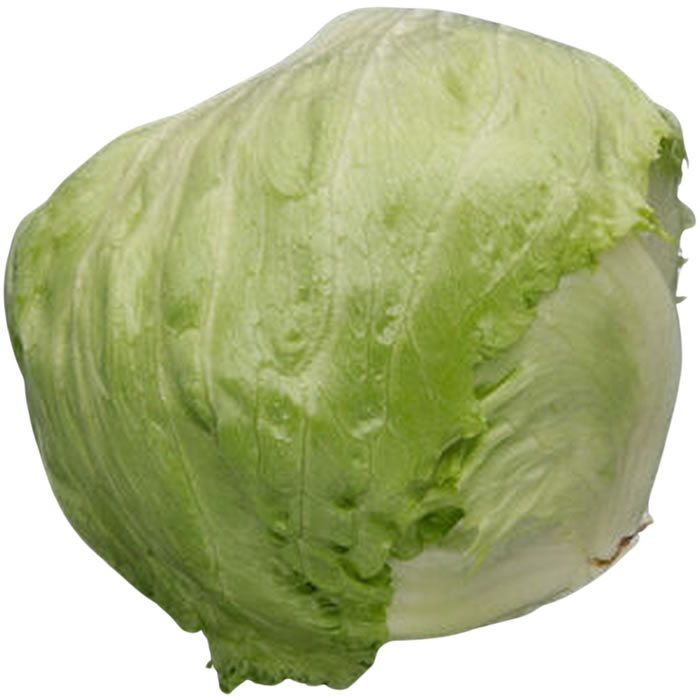 Salade laitue Iceberg