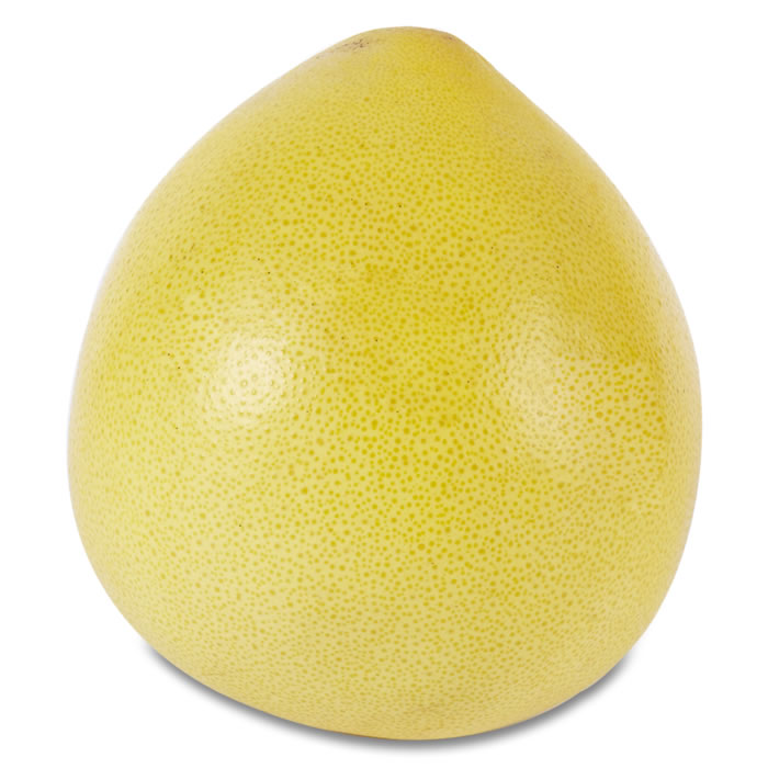 POMELOS – Pomelo géant de Chine 1 pièce