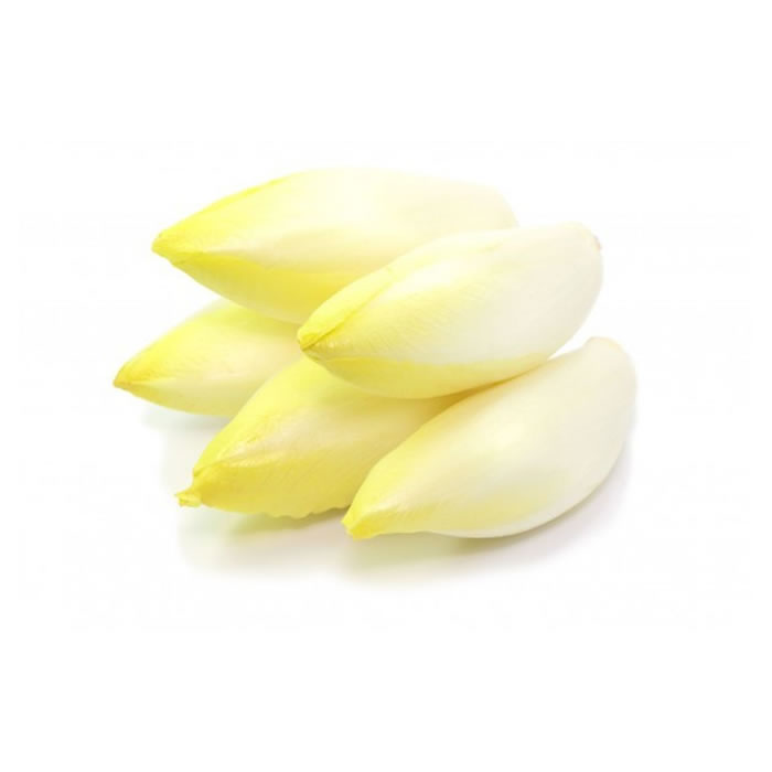 Endive