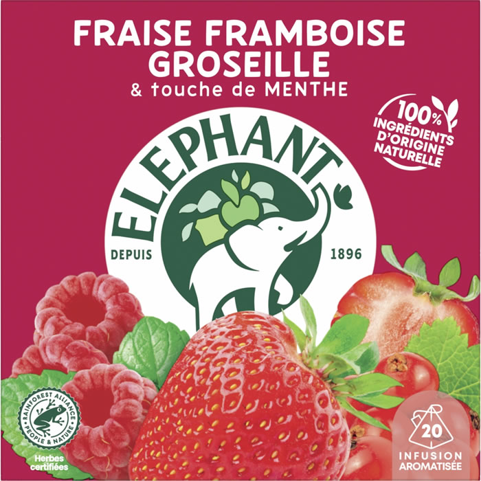 ELEPHANT Infusion fraise, framboise et groseille (20 sachets, 40g)