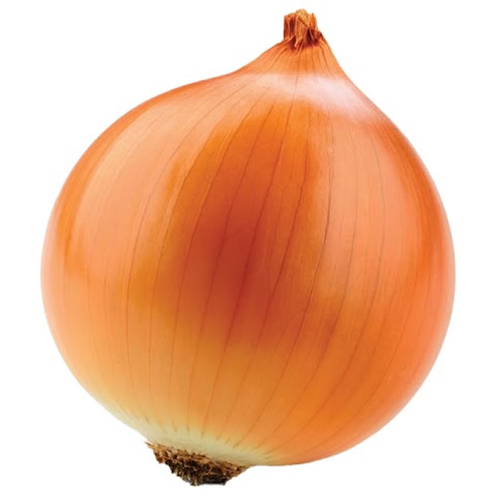 Oignon jaune bio