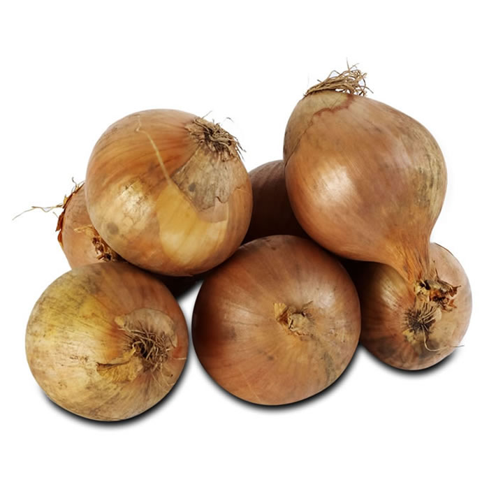 Ferme de la Motte – Oignon Jaune 1 kg