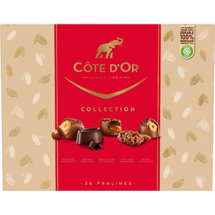 CÔTE D’OR Collection – Bouchées au chocolat praliné 345g
