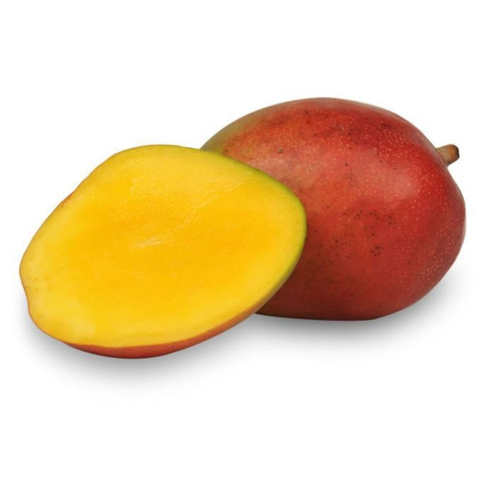 Mangue – MANGUE