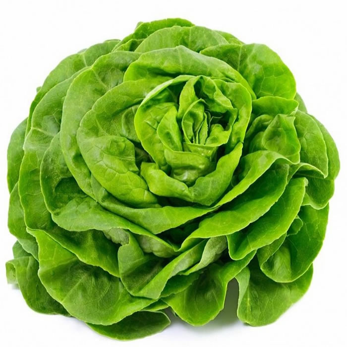 Salade laitue 1 pièce