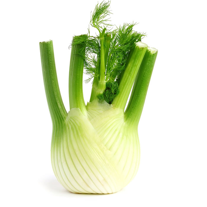 Fenouil