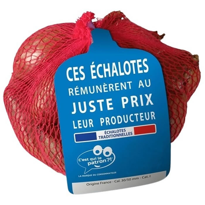 C’EST QUI LE PATRON ?! – Echalote traditionnelle