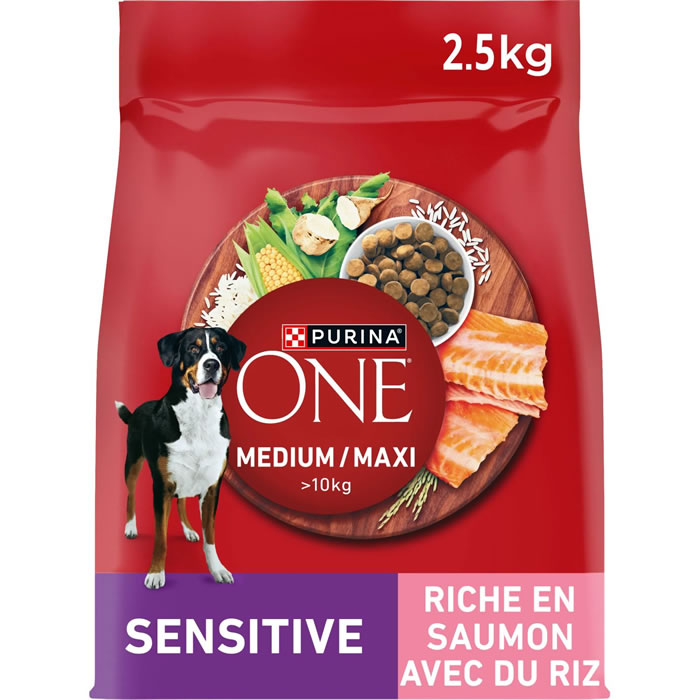 PURINA ONE Croquettes pour chien adulte au saumon