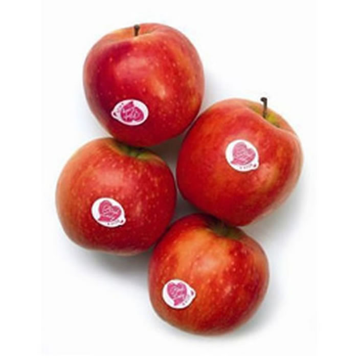 Pomme Cripps Pink bio – POMME
