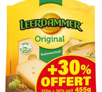 LEERDAMMER – Fromage nature 455g