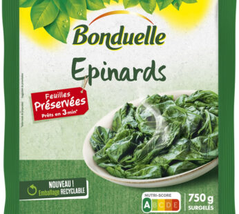BONDUELLE – Epinards feuilles préservées 750g (palets)