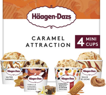 HÄAGEN-DAZS – Mini crème glacée à la vanille et caramel (4 x 80g)