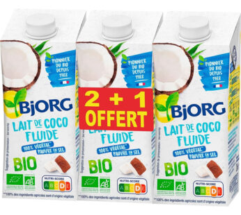 BJORG – Lait de coco fluide bio – 2x20cl