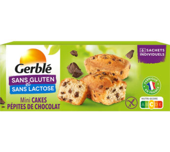 GERBLE – Mini cakes fourrés aux pépites de chocolat au lait 230g