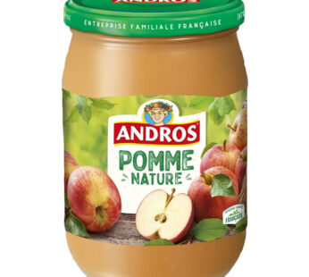 ANDROS – Dessert pomme 660 g
