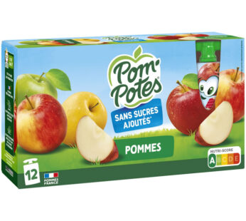 POM’POTES Dessert pomme sans sucres ajoutés Moyen Format (12x90g)
