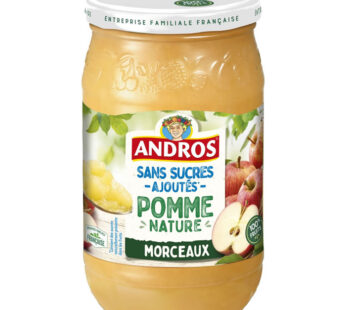 ANDROS – Dessert pomme avec morceaux sans sucre ajoutés 695 g