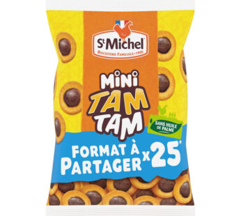 Gâteaux moelleux fourrés au chocolat au lait ST MICHEL Mini Tam Tam