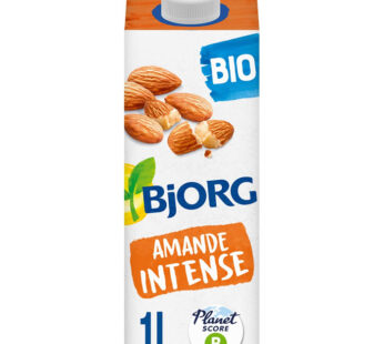 BJORG – Boisson végétale au lait d&rsquo;amande intense bio 1L