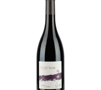 Vin rouge AOP BOURGOGNE Domaine de Champ-Fleury 75 cl