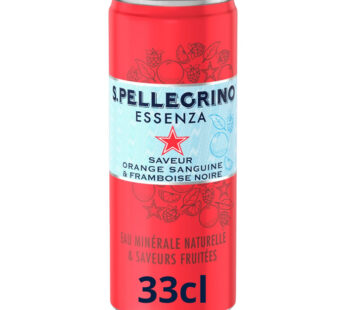 SAN PELLEGRINO Essenza – Eau minérale naturelle gazeuse orange et framboise 33 cl