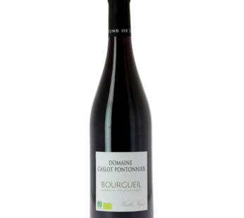 Vin rouge bio AOP BOURGUEIL Domaine Caslot Pontonnier 75 cl