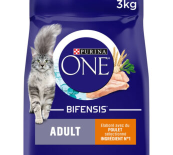 PURINA One Croquettes pour chat adulte au poulet et céréales complètes
