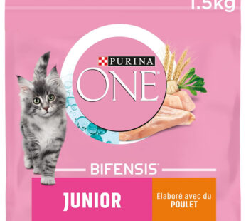 PURINA One Croquettes pour chatons au poulet et céréales complètes