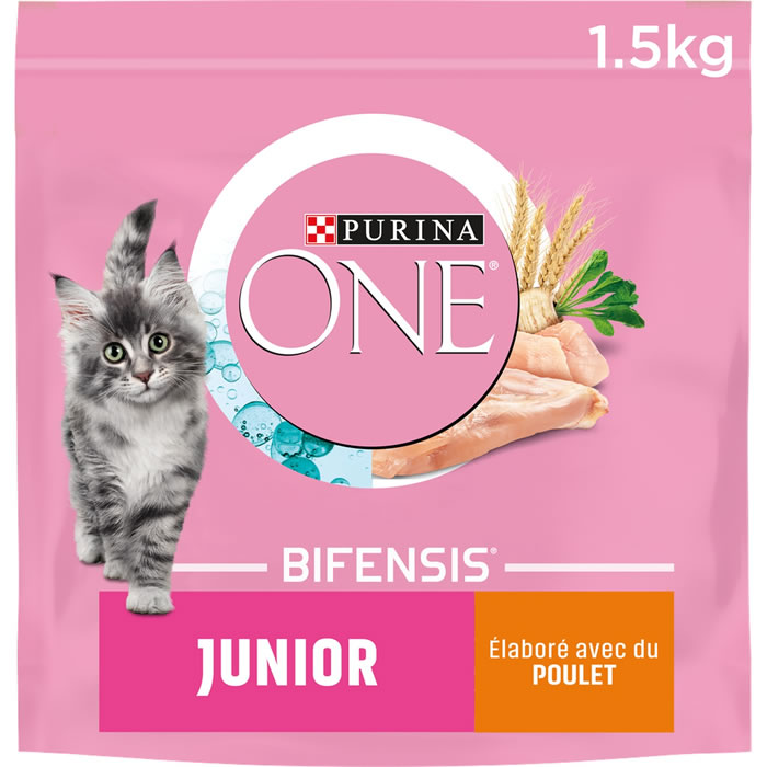 PURINA One Croquettes pour chatons au poulet et céréales complètes