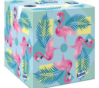 LOTUS Mouchoirs boîte 3 épaisseurs 48 mouchoirs