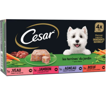 CESAR – Terrines du Jardin 4 variétés (4 x 300 g)