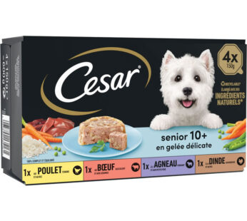 CESAR Gelée pour chien senior
