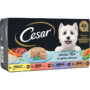 CESAR Gelée pour chien senior