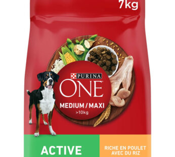 PURINA ONE Croquettes pour chien adulte au poulet
