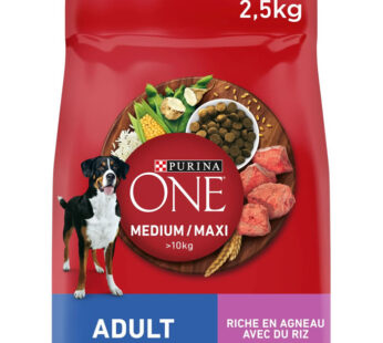 PURINA ONE Croquettes pour chien adulte agneau, riz
