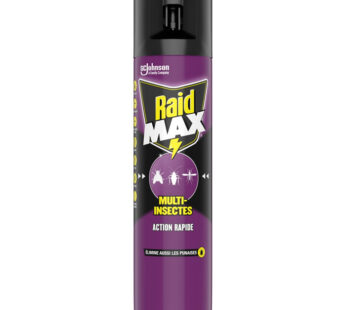 RAID MAX Aérosol anti multi-insectes