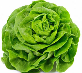 Salade laitue 1 pièce