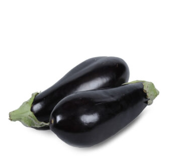 Aubergine bio