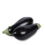 Aubergine bio