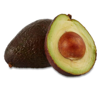 AVOCAT – Avocat 1 pièce