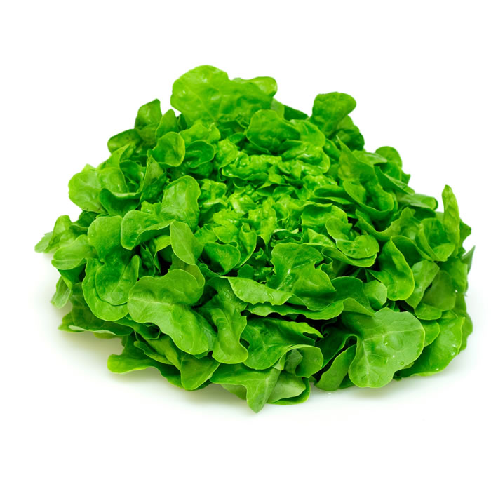 Salade feuille de chêne blonde 1 pièce