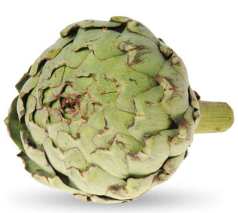 Artichaut