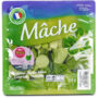 Salade mâche